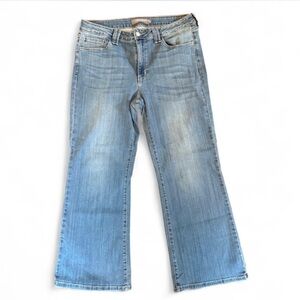 Blue Light Wash Flare Wide Leg Jeans